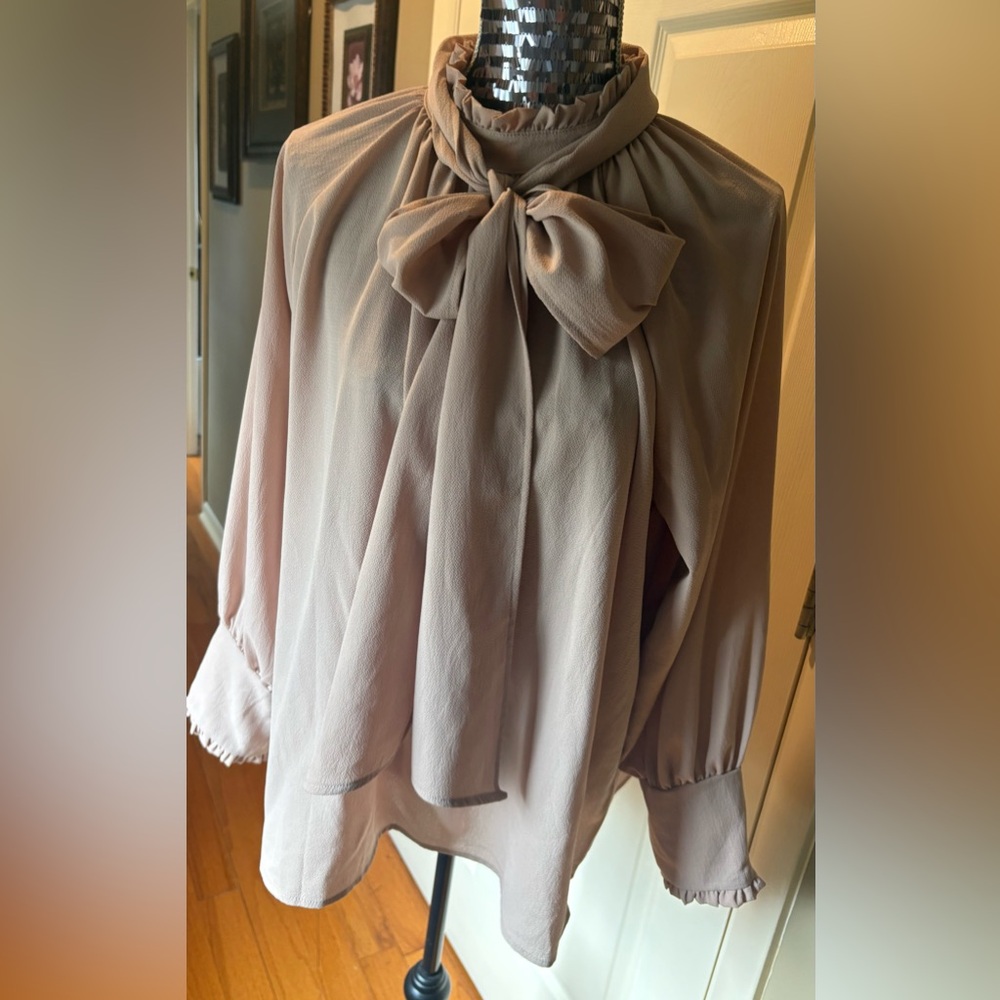 New Tan Long Sleeve Blouse with Tie Front and Mock Ruffle Collar - Picture 7 of 7